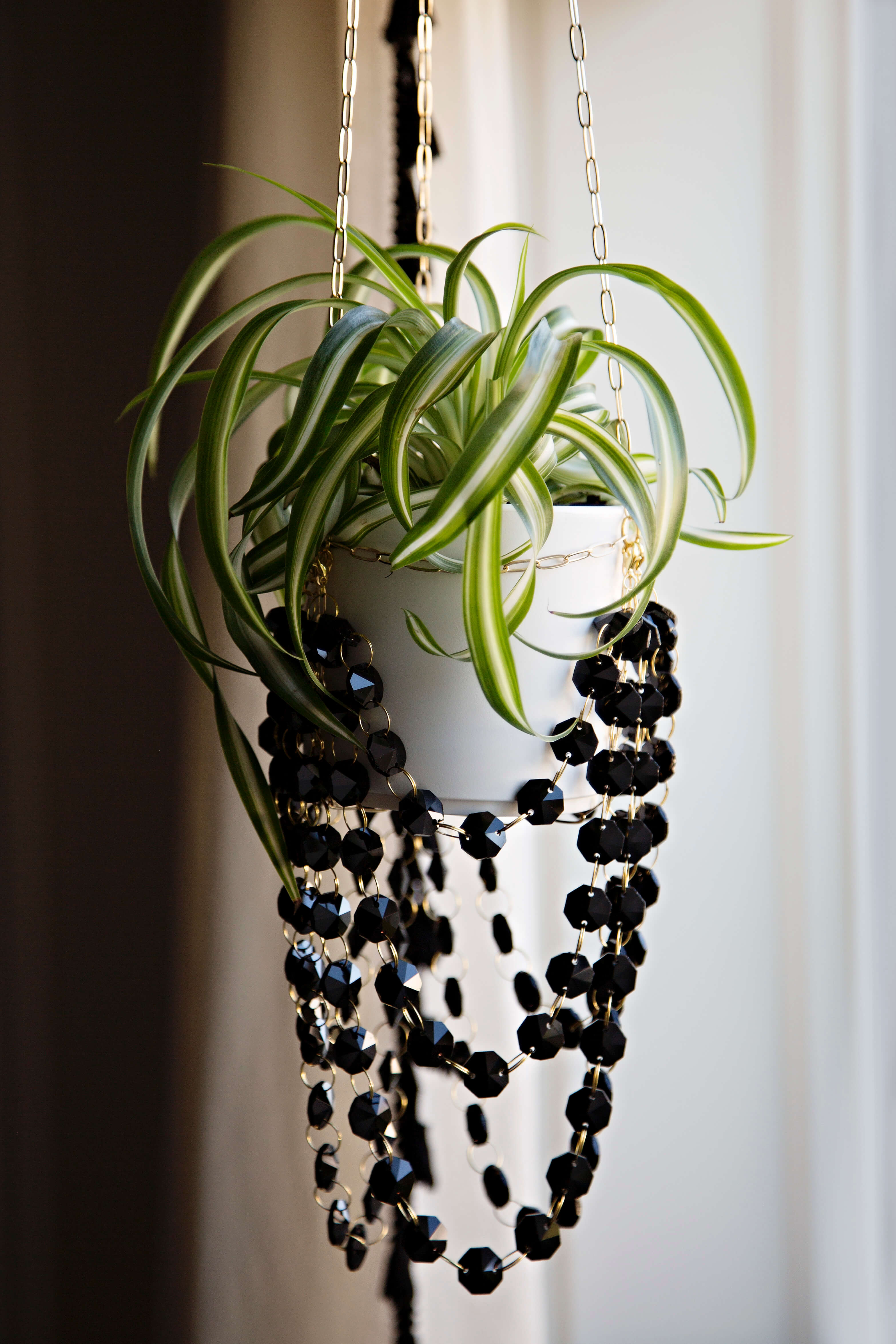 chandelier hanging planter Floating Chandelier Black Suncatcher Plant Hanger with hints of Gold – Air Blush