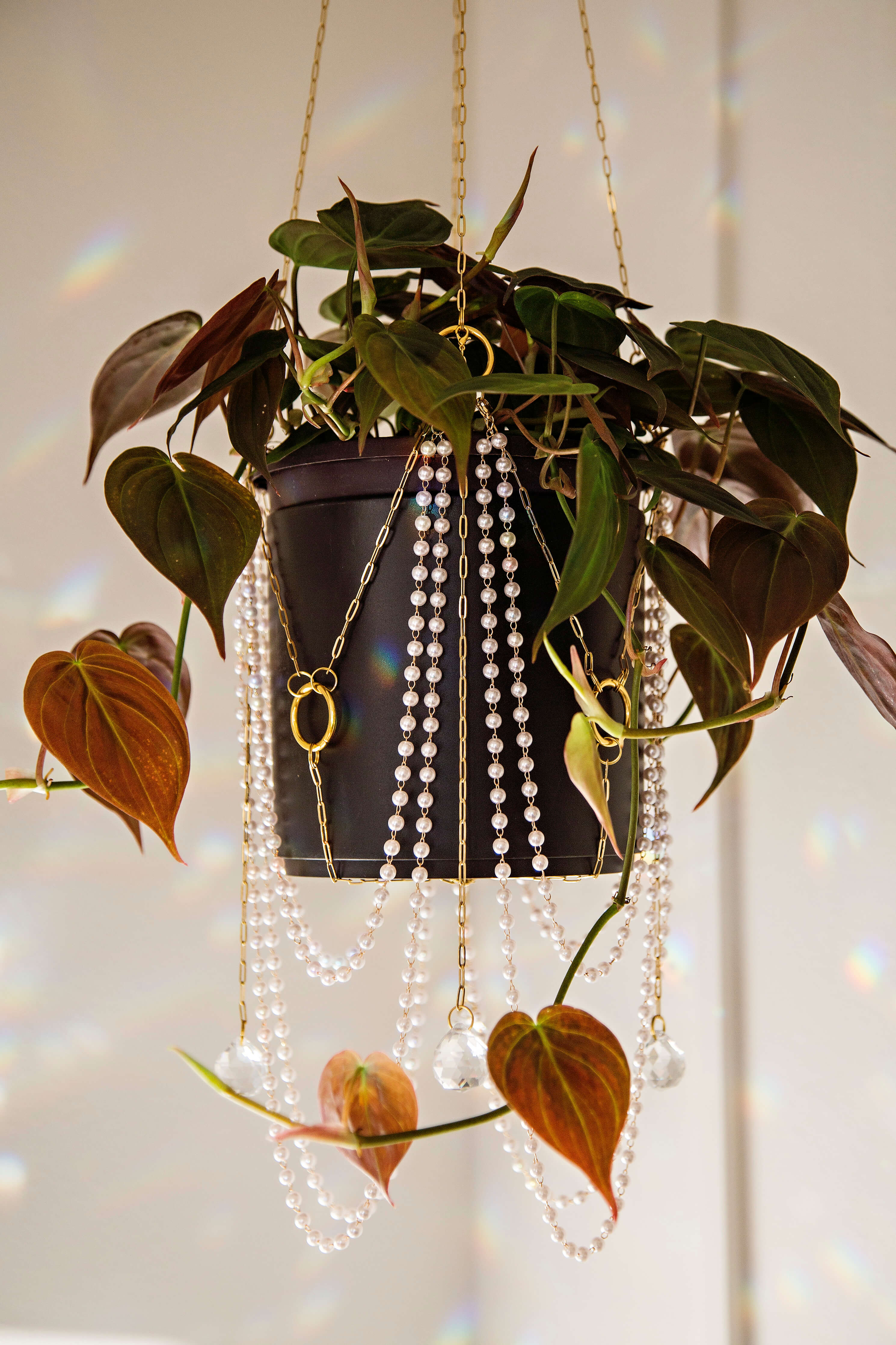 watch chain plant hanging ✨Preorders✨Draped In Pearls Gold Chain Suncatcher Plant Hanger – Air Blush