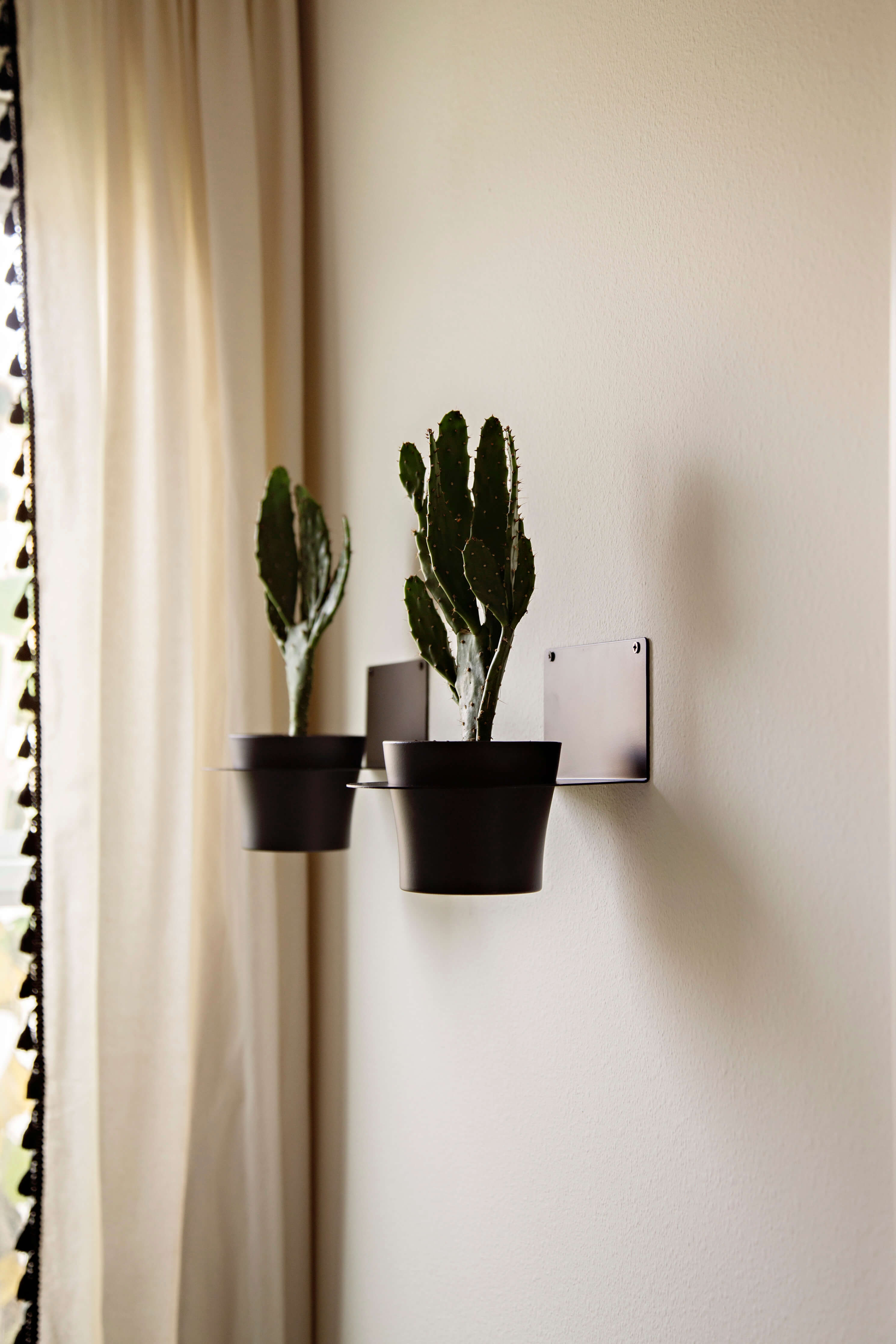 wall plant pot holders indoor Wall Plant Holders for Your Home – Air Blush