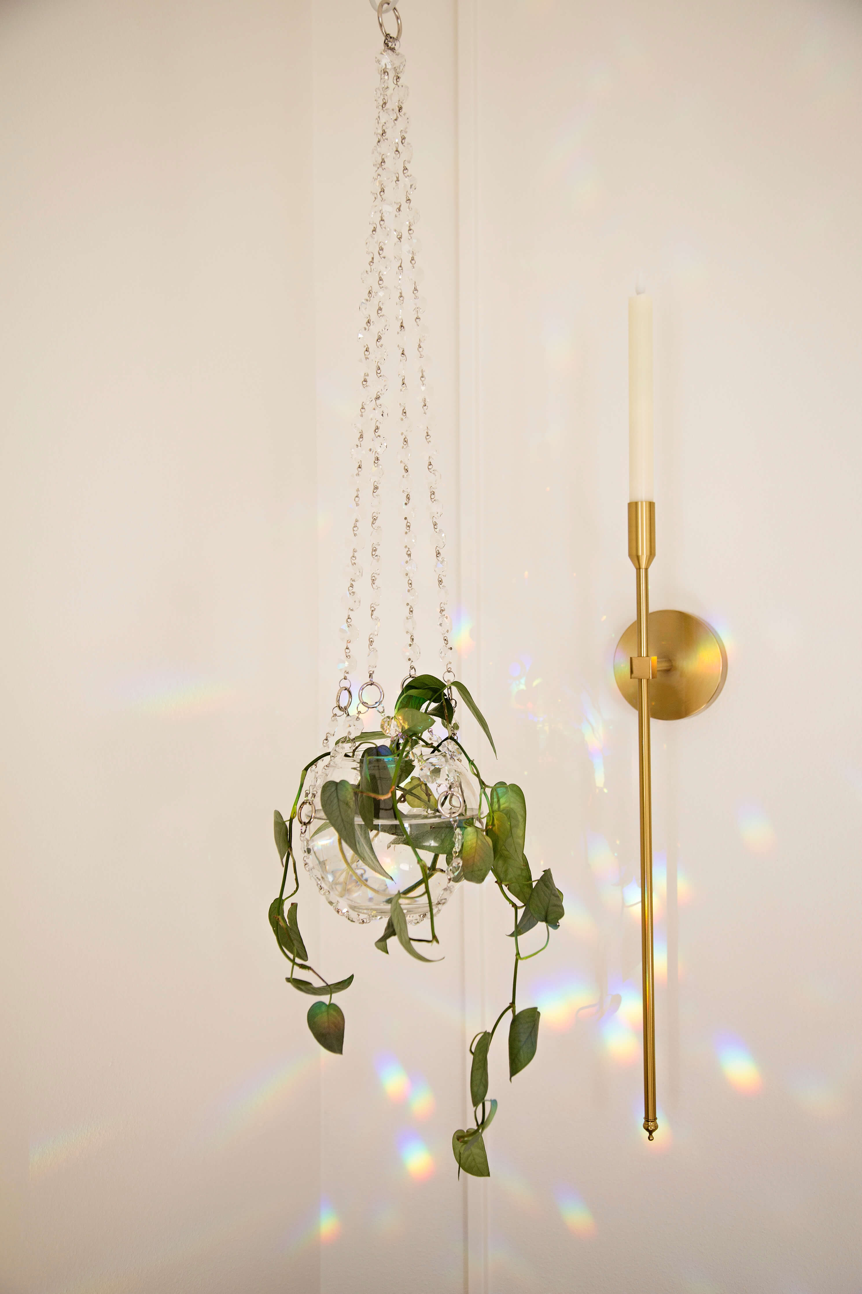 plant hanging light ✨Suncatcher Crystal Plant Hanger