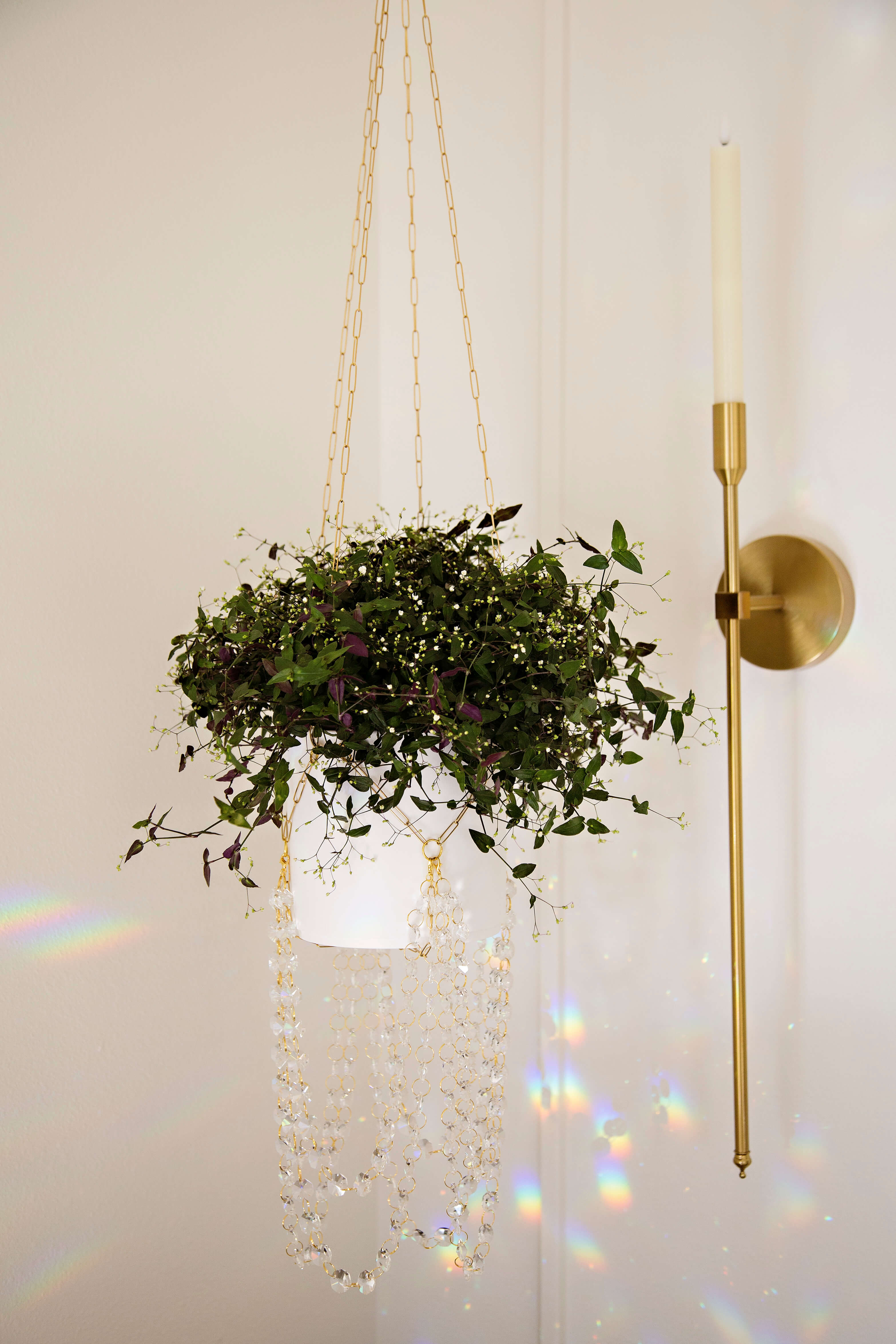 rose gold plant hanger Golden Hour Large Paperclip Suncatcher Plant Hanger – Air Blush