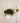 Golden Hour Large Paperclip Suncatcher Plant Hanger