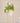 Floating Chandelier Suncatcher Plant Hanger in Gold