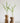 Wooden Plant Propagation Station-set