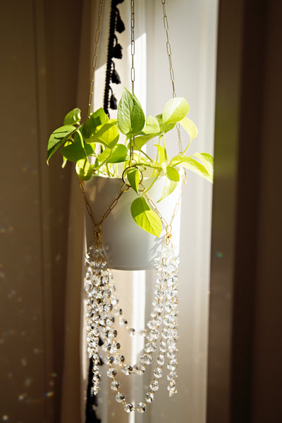 acrylic plant hanger Golden Hour Large Paperclip Suncatcher Plant Hanger – Air Blush