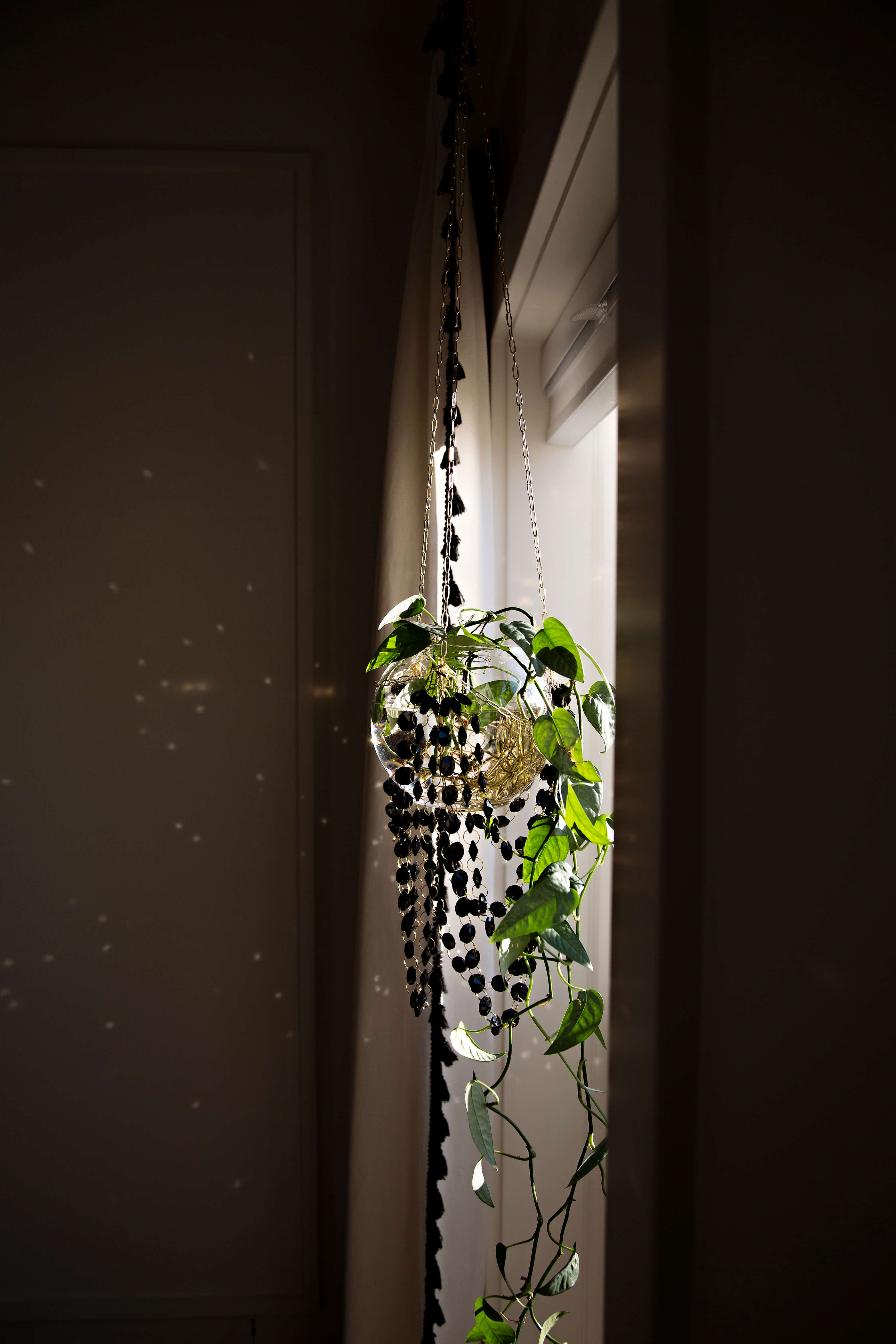 hanging planter chandelier Floating Chandelier Black Suncatcher Plant Hanger with hints of Gold – Air Blush
