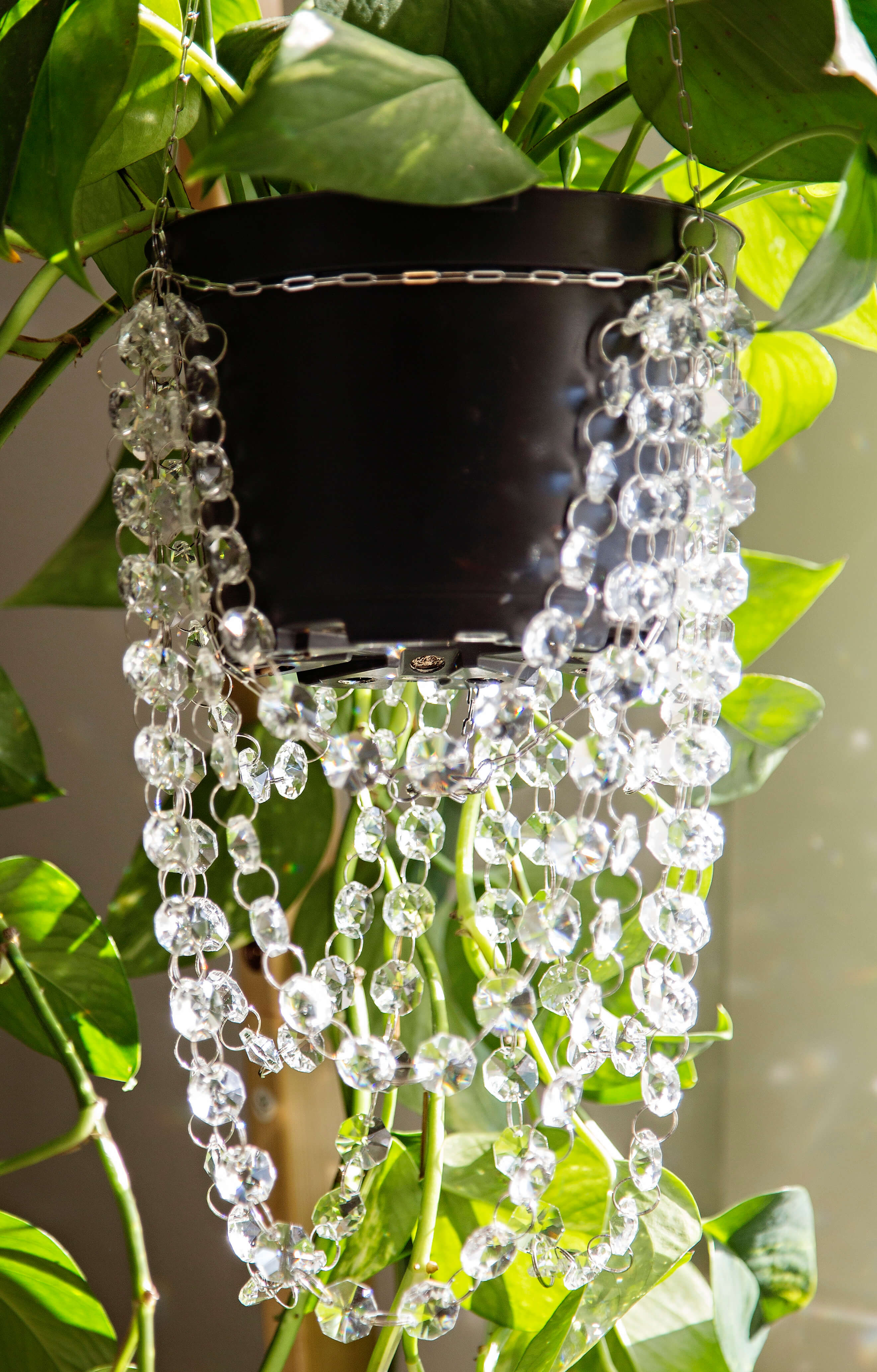air plant chandelier Floating Chandelier Suncatcher Plant Hanger in Silver – Air Blush