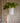 Silver Diamond Drop Crystal Suncatcher Plant Hanger with oversized Paperclip Chain