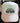 STAY ROOTED HAT- Pink and White Hat with Black Print