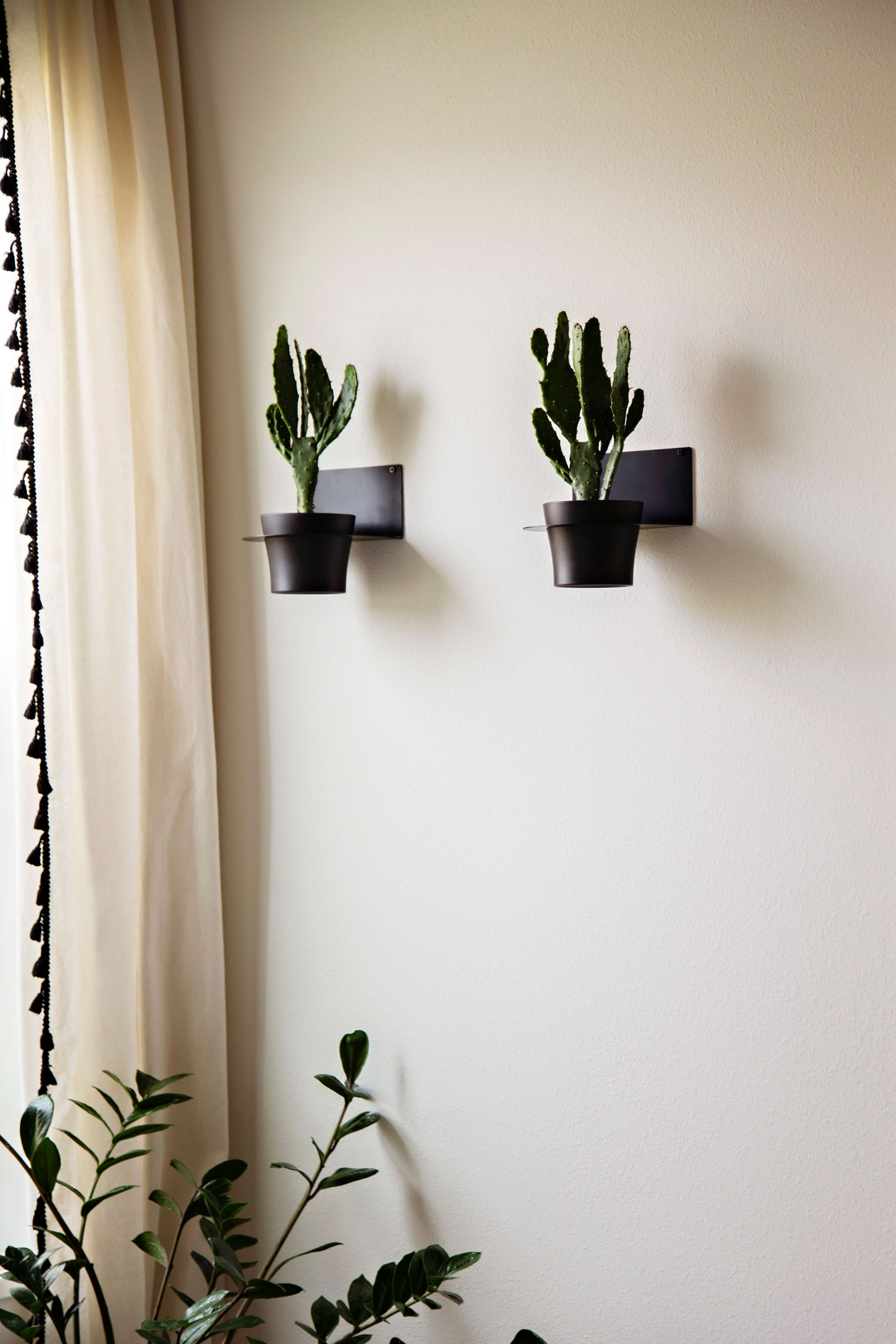 plant wall holders indoor Wall Plant Holders for Your Home – Air Blush