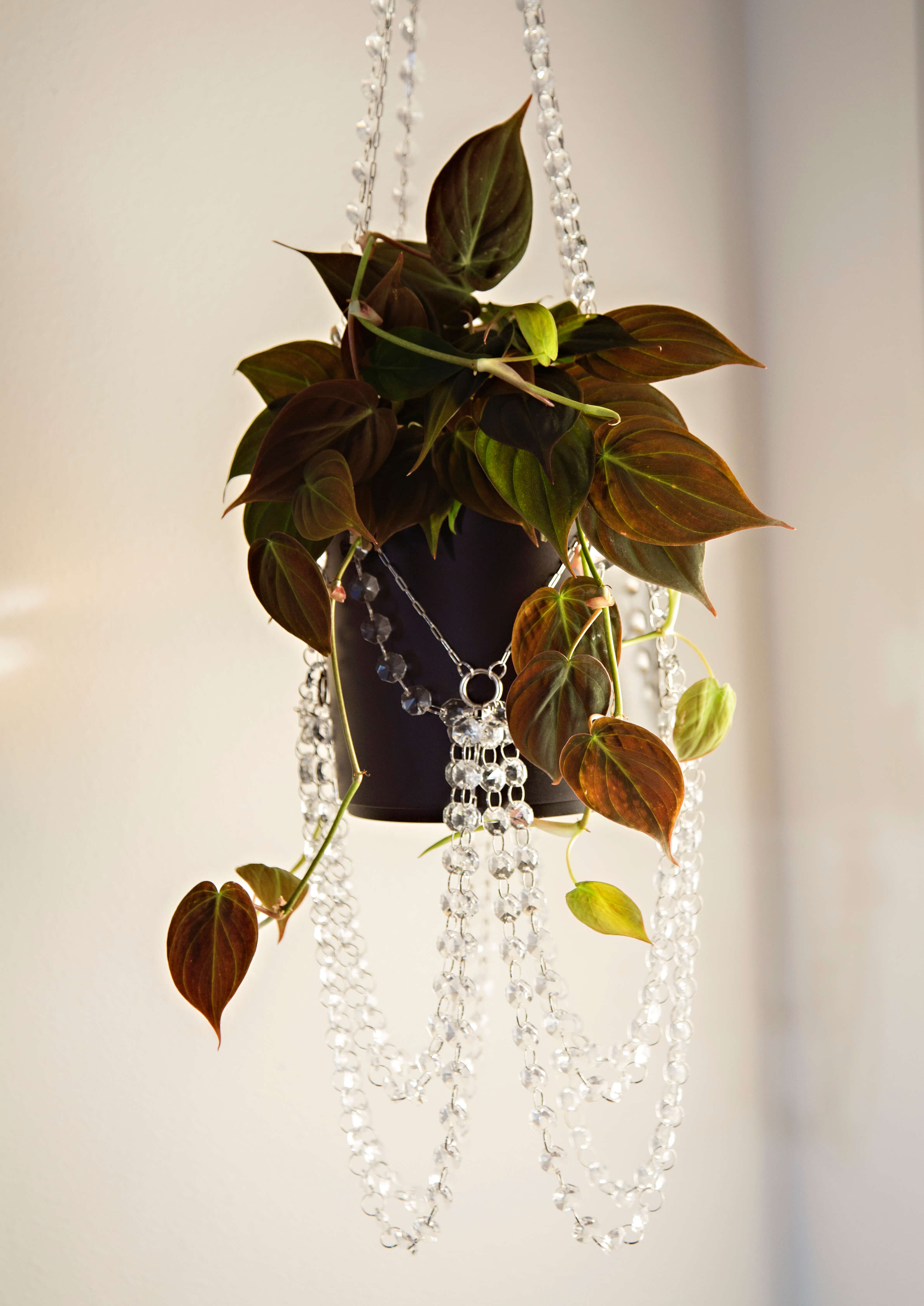suncatcher plant hanger ✨Preorders✨Draped In Diamonds Ultimate Suncatcher Plant Hanger