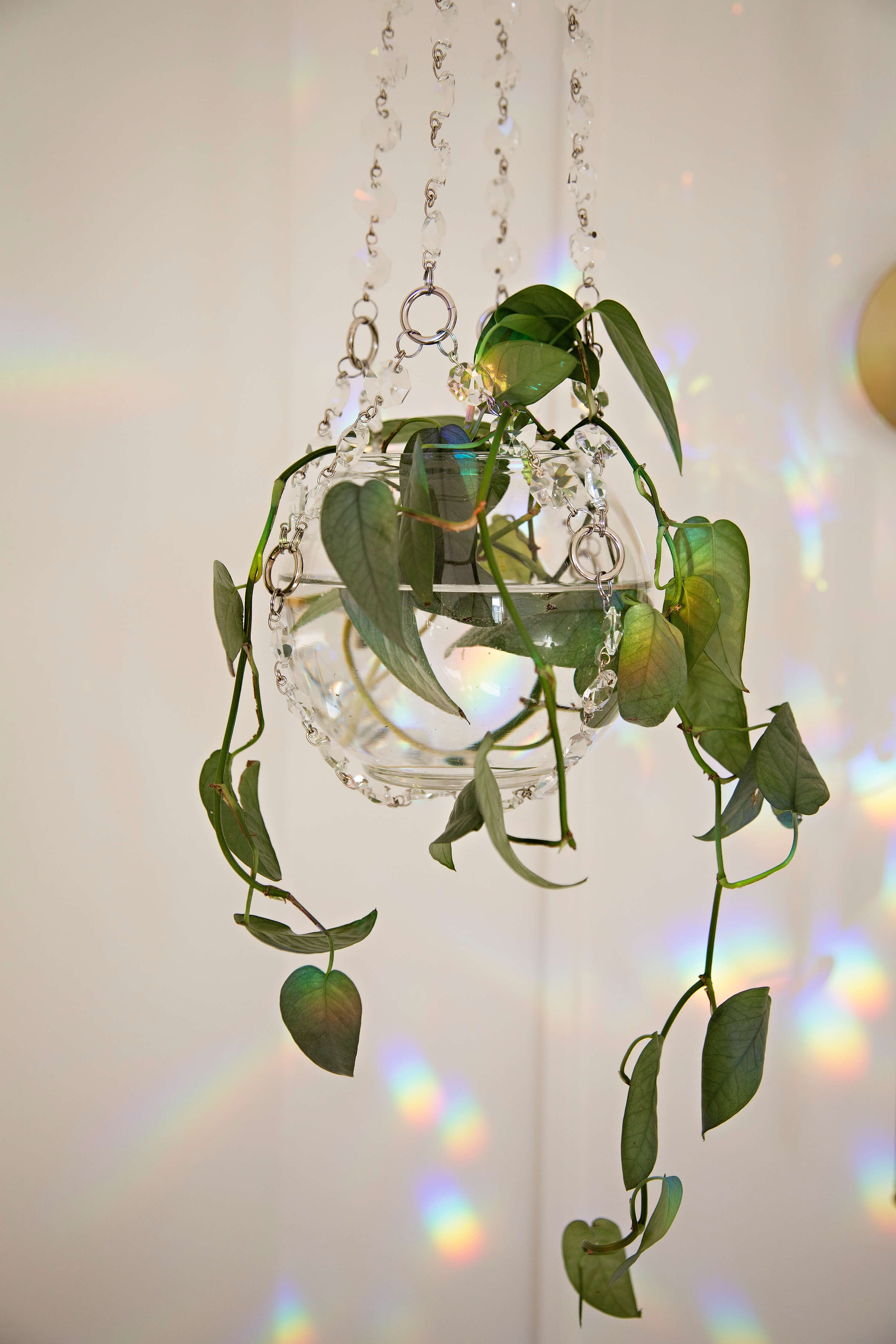 crystal plant hanger ✨Suncatcher Crystal Plant Hanger