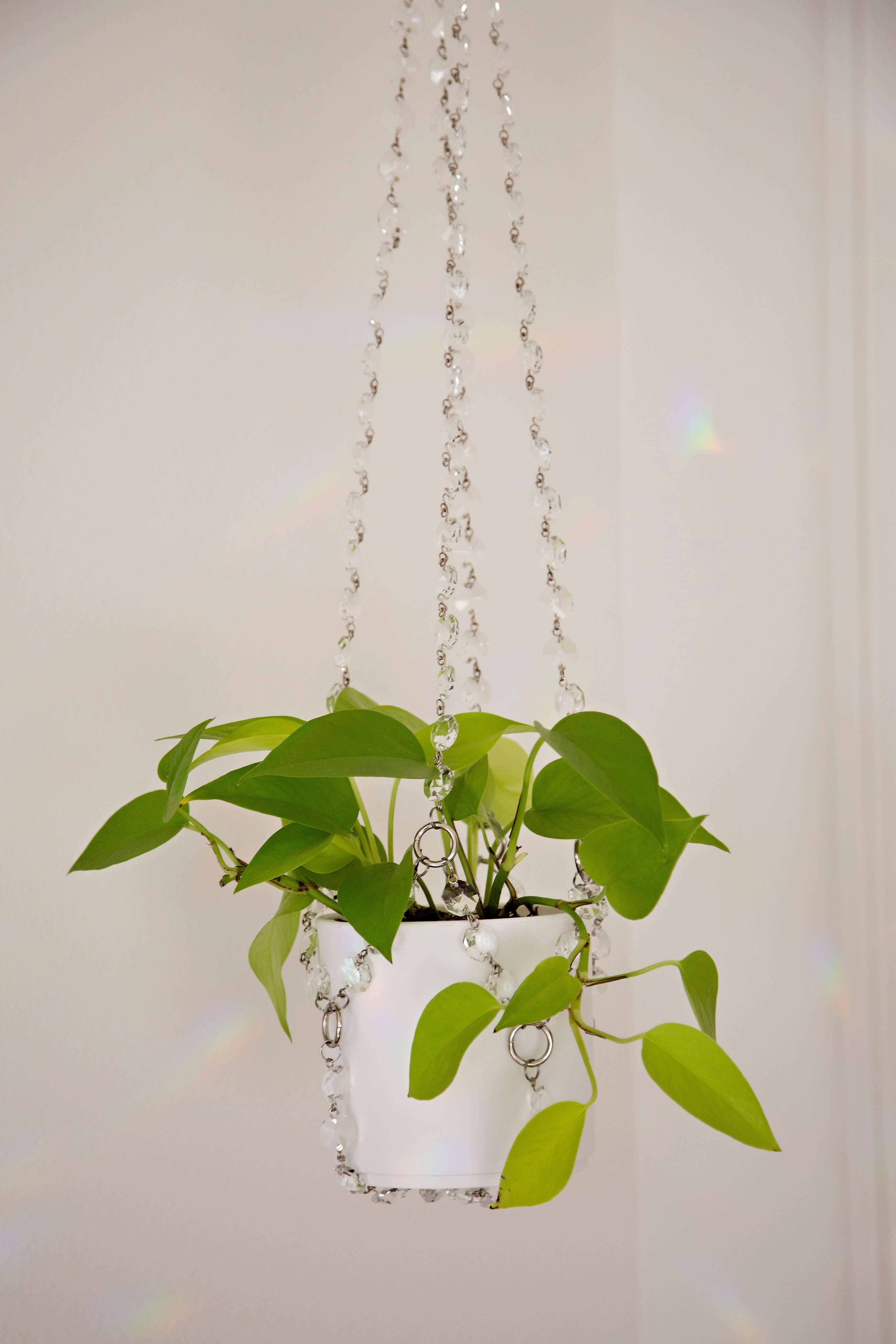 chandelier plant hanger ✨Suncatcher Crystal Plant Hanger